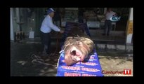 Marmara Denizi'nde 1 ton 200 kiloluk köpekbalığı yakalandı