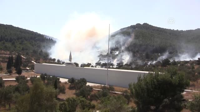 Gelibolu Yarımadası'nda Orman Yangını