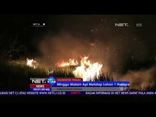 Api Melahap Lahan Satu Hektare - NET24