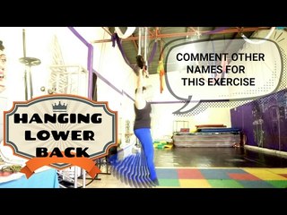How do you call this exercise?, please comment hanging lower back exercise