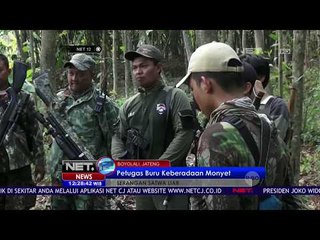 Petugas Buru Keberadaan Monyet - NET12