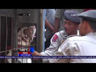 Korban Anjing Pitbull Telah Dimakamkan - NET16