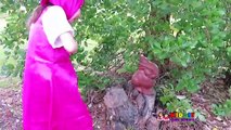 Mashas Watermelon Was Crushed by Silly Joker, Funny Masha Video, Masha and the Bear, маша
