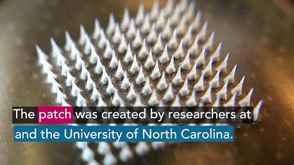 Este parche de microagujas puede deshacer la grasa corporal