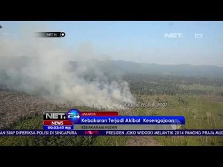 Kebakaran Hutan Terjadi Akibat Kesengajaan - NET24