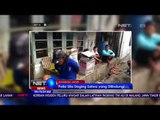 Polisi Sita Daging Satwa yang Dilindungi - NET24