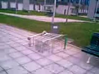 Carrito Jackass 3 Jumping