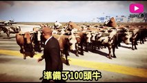 [GTA5] CAN 1000  COW STOP THE BIG PLANE IN GTA 5