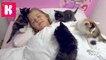 Наши котята Bad baby Little Kittens в Домике для кукол мультики про котят у Кати и Макса Kid's Morning routine new video