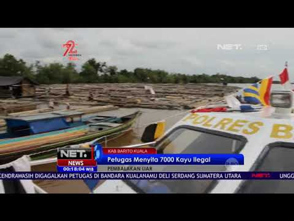 Pembalakan Liar, Petugas menyita 7000 Kayu Ilegal - NET24
