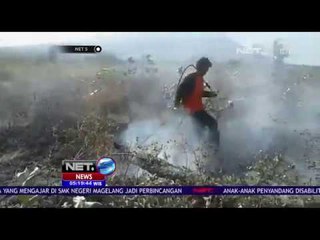 Kebakaran Puluhan Hektar di Situbondo - NET5