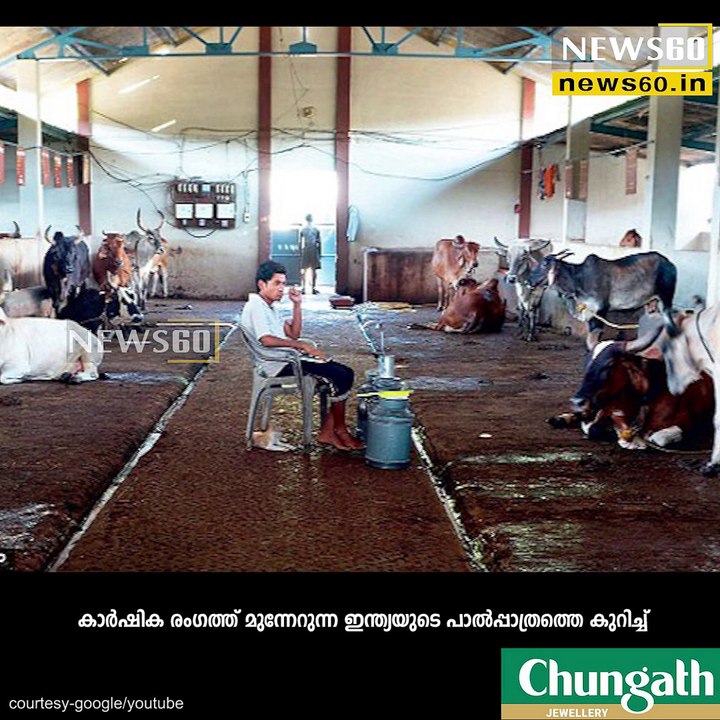arrey india's milk colony