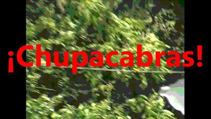 Videos de Terror Reales 79 (Chupacabras)