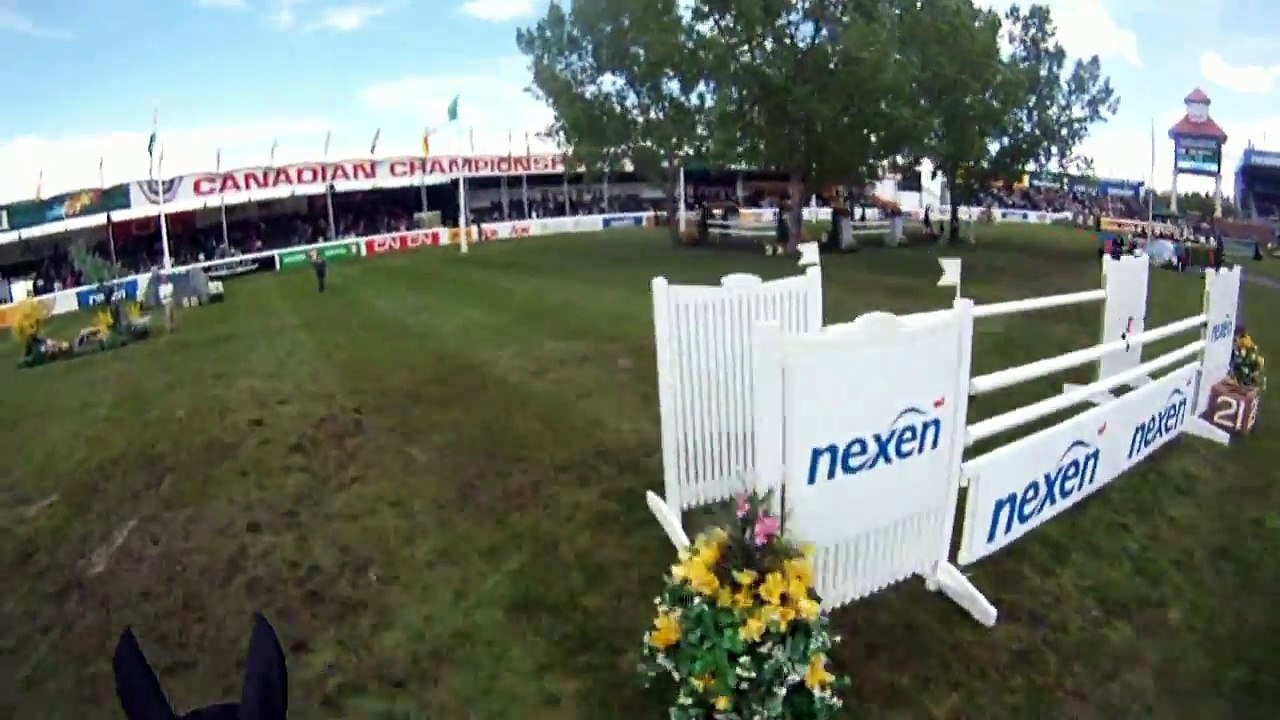Horse Jumping Show - POV Helmet Cam