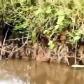 Curieuse façon de pecher... Avec un bateau télécommandé