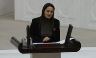 CHP Milletvekili Şafak Pavey İstifa Etti