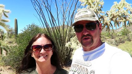 Sonoran Desert Plants Cus Trees Shrubs of Arizona