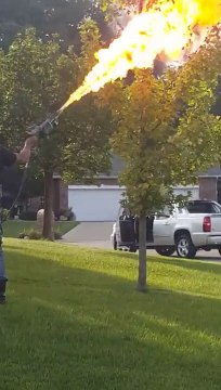 Ce taré sort son lance-flamme pour détruire un nid de frelons