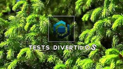 ¿Cual es tu talento? | Test Divertidos