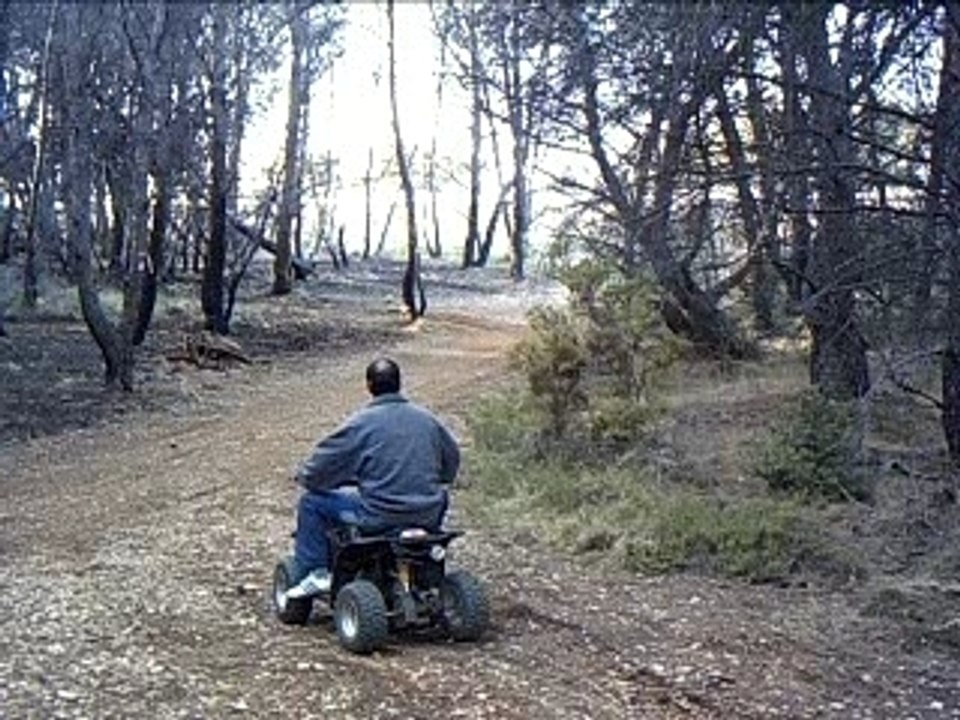 pit bike kevin et moi course