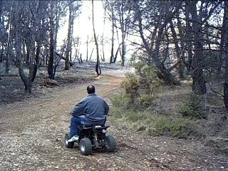 pit bike kevin et moi course