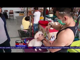 Amazing Pet Weekend Carnival, Manjakan Hewan Agar Tetap Sehat dan Terawat   NET 12