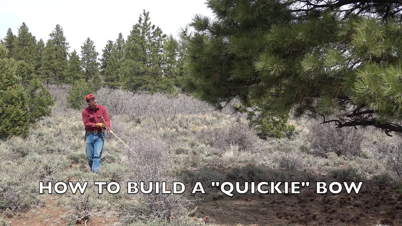 How to Build a Stick Bow and Arrows