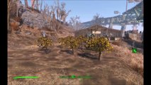 Fallout 4 - Gray Garden