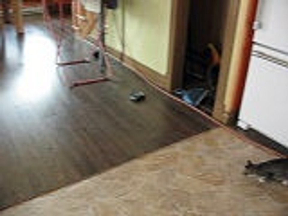 MVI_8870