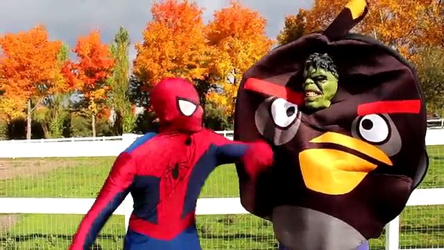 Spiderman SAVES FROZEN ELSA & ANNAs HEADS! w/ Joker Maleficent Spidergirl Catwoman! Sup