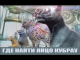 Установка инкубатора и поиск яйца КУБРАУ (найдено с первого раза)