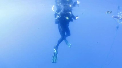 Şahika Ercümen, Kuruyan Göller İçin Daldı