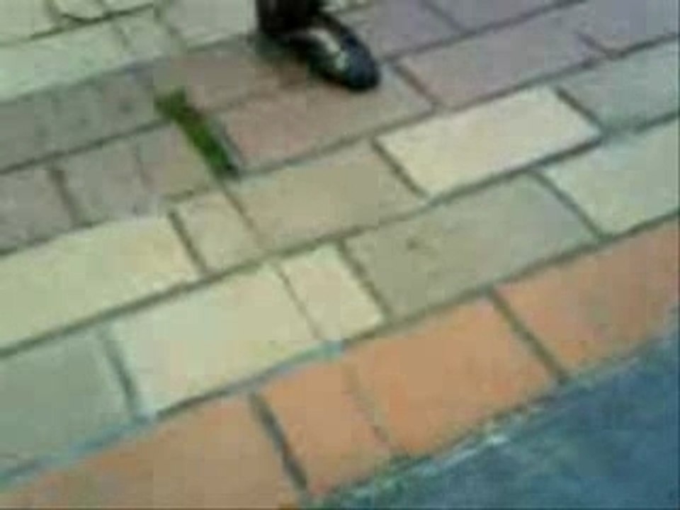 Clem et aurel freestyles + delires