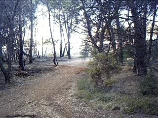 pit bike kevin et moi course 2