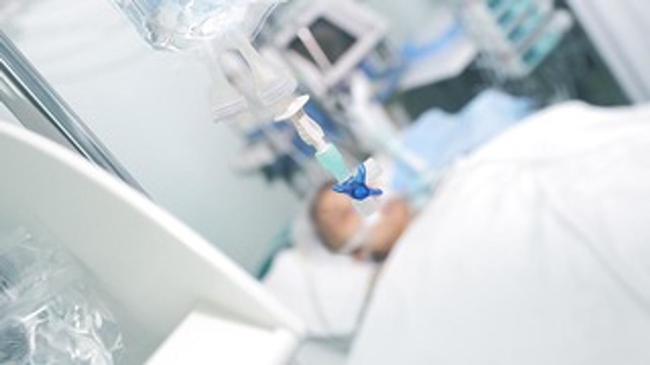 Mexico Approves Euthanasia