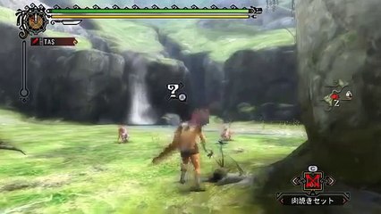 【TAS/コメ付】モンスターハンター3トライ Part2