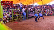 ¡MOTOSIERRA, TIJOLITO CON ESPUELA LIBRE! LA YURIRENSE, INCOMPARABLES Y GUADALUPANA SANTA RITA 2017