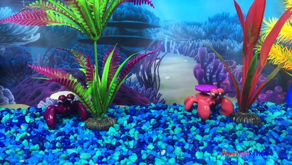 DISNEY PIXAR FINDING DORY - CHANGING LOOKS DORY WITH FINS TAILS CRABS SHELLS & SEAWEED - UNBOXING