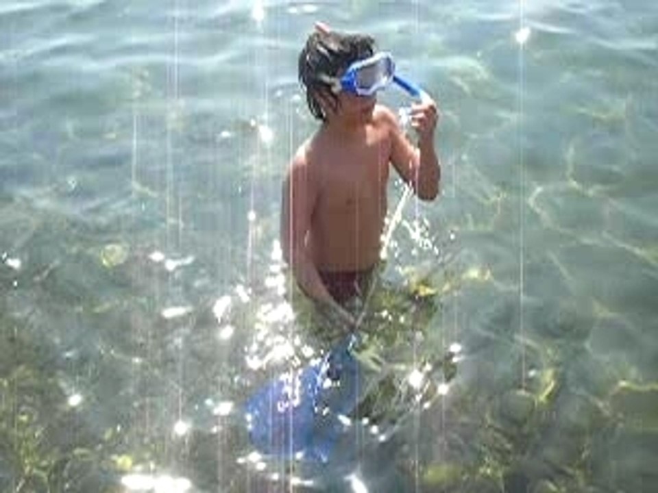 Les fonds marins...enfin presk