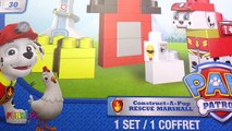 Learning Videos for Children: Paw Patrol Skye & Marshall Ionix Construct-A-Pup, Rescue Block Set