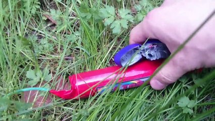 Poland Firecracker - EL TONNO