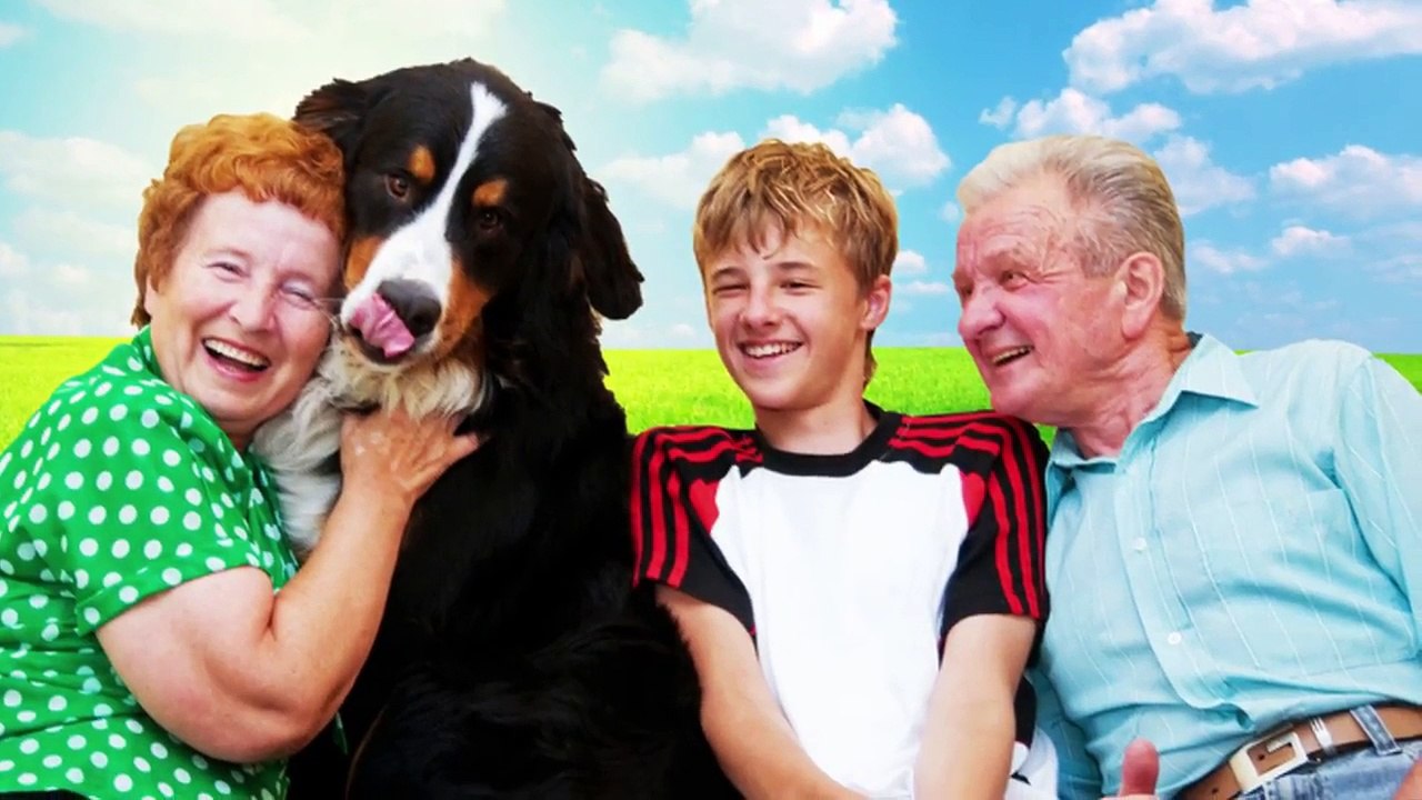 NuVet Labs Products - Pet Vitamin Supplements for Your Dog & Cat