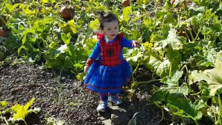 Spider-Kids vs Pumpkin Patch | Halloween Fun with Spiderman Costumes for Kids - Part 1