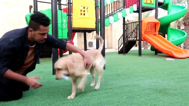 ردة فعل كلبي روكي يوم جلدوني وضربوني !! انصدمت من ردّة فعله