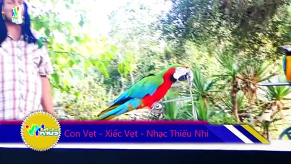 Chú Voi Con Ở Bản Đôn Remix, Xiếc Cá Heo - Nhạc Thiếu Nhi Vui Nhộn Hay Nhất_