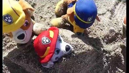 Una y una en un tiene una un en y un el el patrulla pata camioneta español playa 2 patrulla canina juguetes enpanol