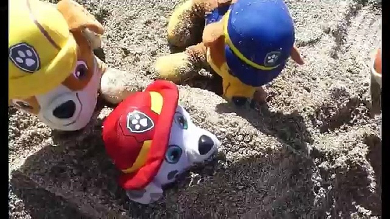 Una y una en un tiene una un en y un el el patrulla pata camioneta español playa 2 patrulla canina juguetes enpanol