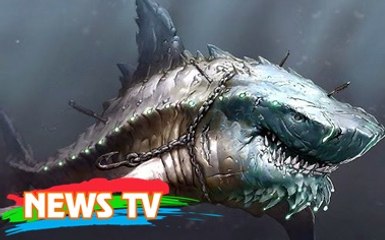 Top 10 loài cá mập lớn nhất từng tồn tại