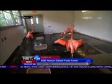 Badai Irma - Evakuasi Hewan-Hewan Langka Di Miami Zoo, Florida - NET24
