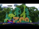 3 Ribu Hewan Yang Ada Di Miami Zoo Dipastikan Aman Dari Badai Irma - NET5